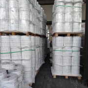 淋膜纸-淋膜纸1