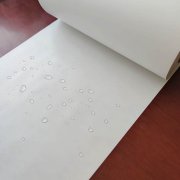 淋膜纸-淋膜纸4